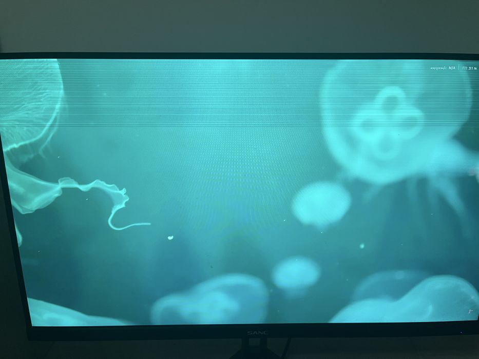 Монитор sanc с дефектом