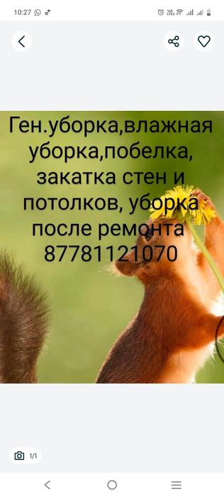 Проф.Уборка, не дорого