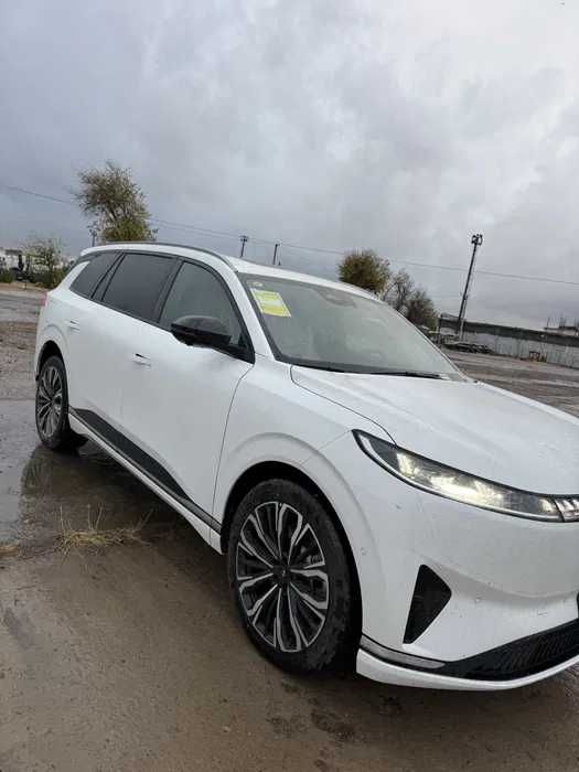 Voyah hybrid 318km RWD