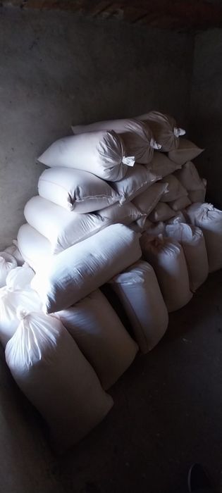 Rumegus curat de fag pentru afumat in Satu Mare