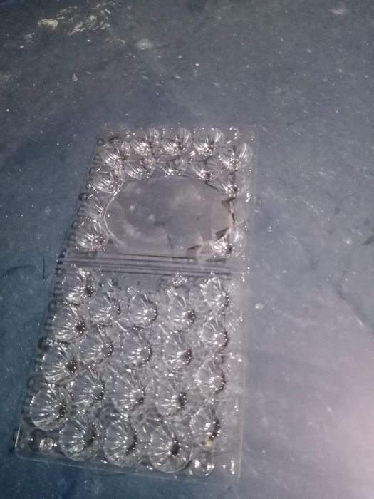 Коретки под яйцо