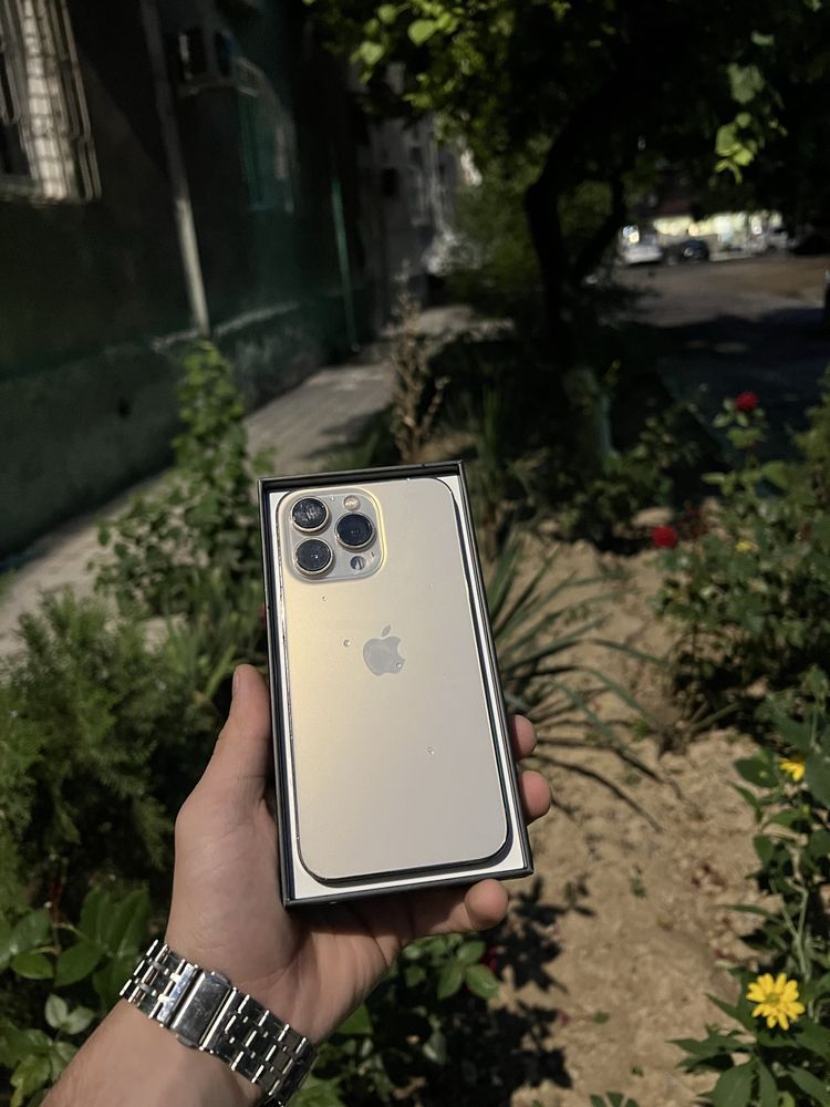 iphone 13 pro ideal