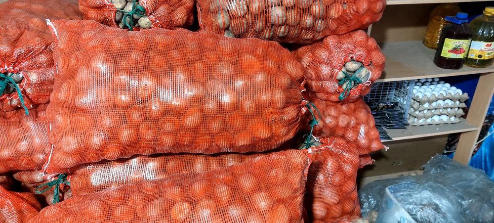 Продам картофель Марковь