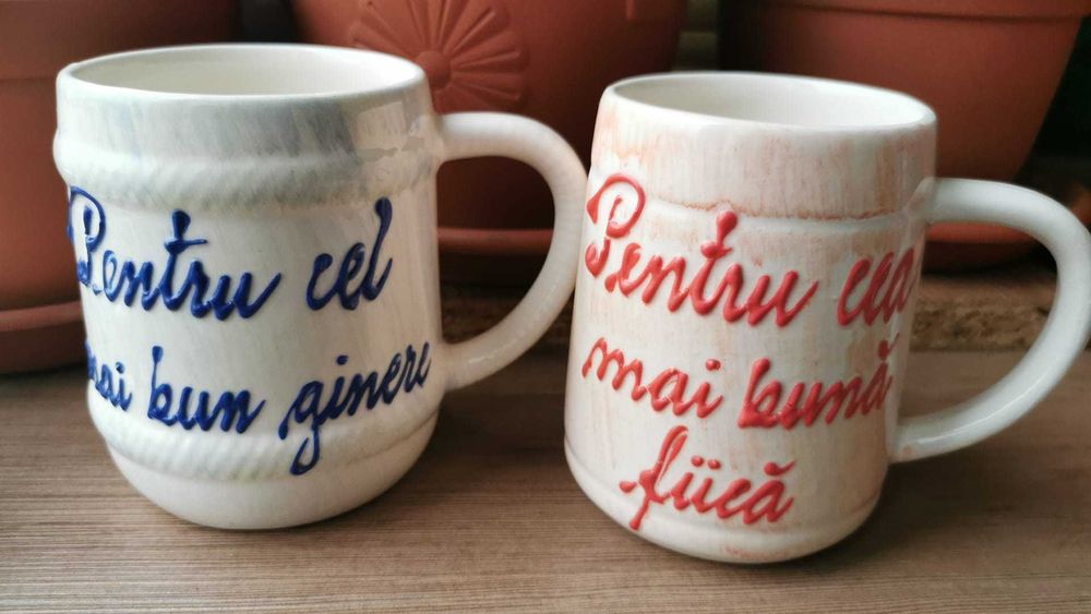 Cani cu mesaje pentru familie, prieteni, fantezie si perne decorative