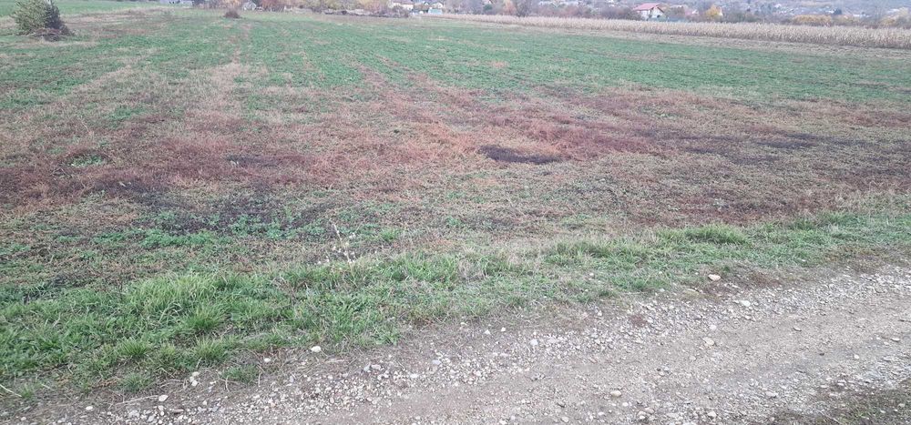 teren intravilan 3200 mp