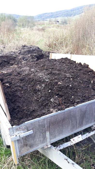 vand si aduc gunoi grajd uscat de 2 ani  (mranita) ingrasamant natural