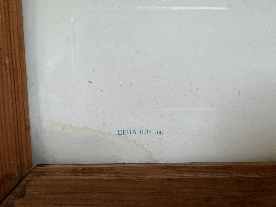 Голям Портрет на Тодор Живков