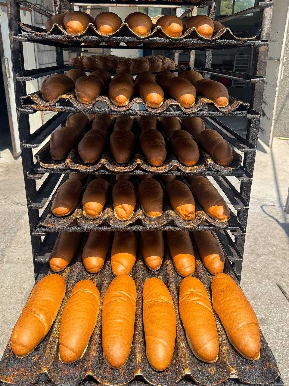 Non mahsulotlari: buhonka, gamburger, Hot-Dog — hammasi bizda bor!
