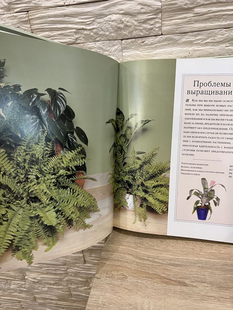 Энциклопедия комнатные растения книга цветы