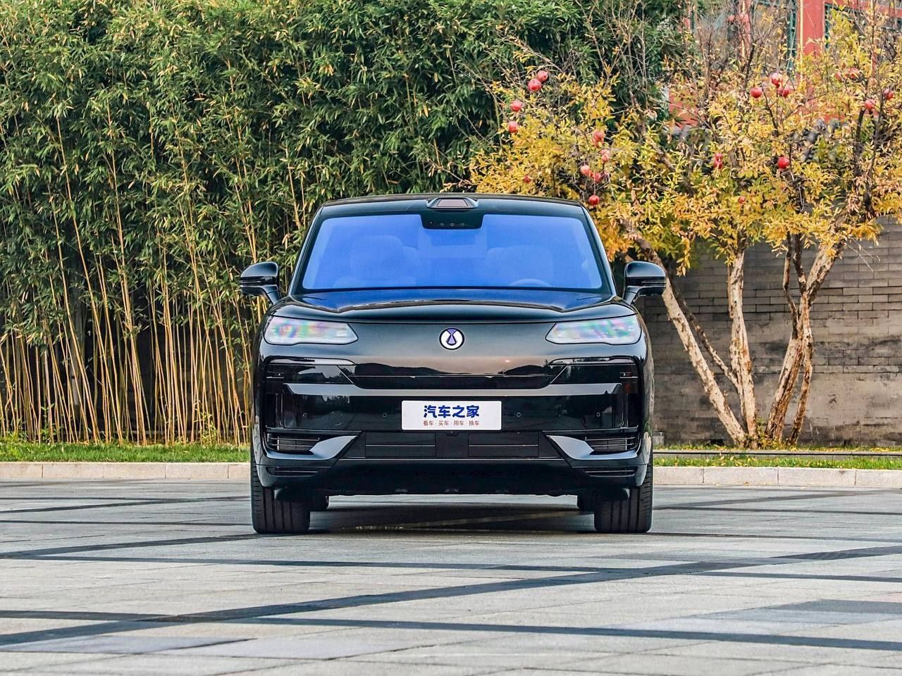 Denza N 9 Pro CIP