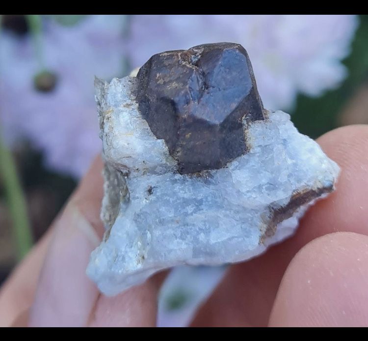 Cristal Granat in matrice