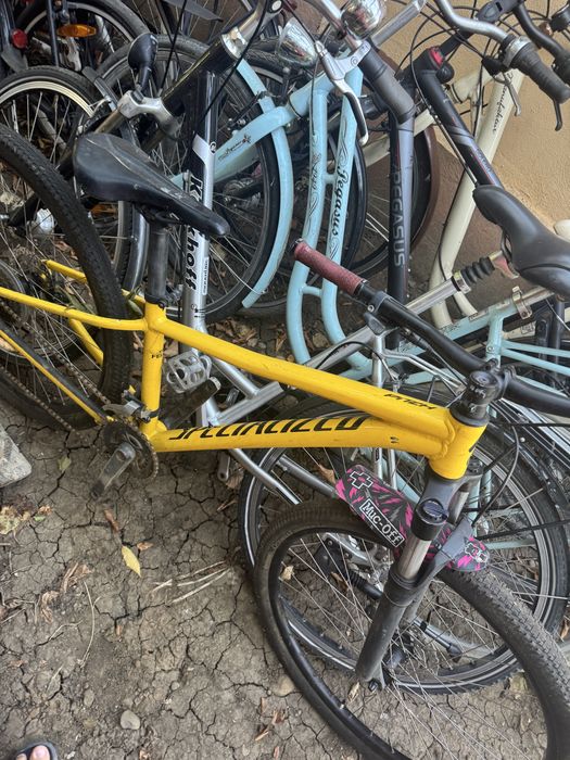 Vand Biciclete Mtb bulls Pegasus 27.5 29 28 Dama Barbatesti germany