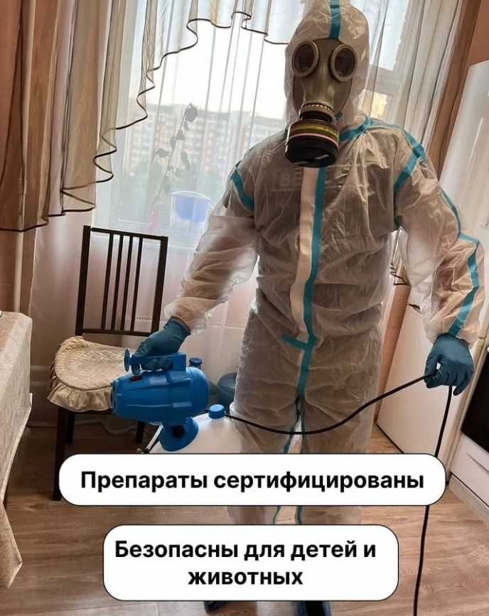 Dezinfeksiya klopa tarakan klapa | Дезинфекция тараканов клопов M-2