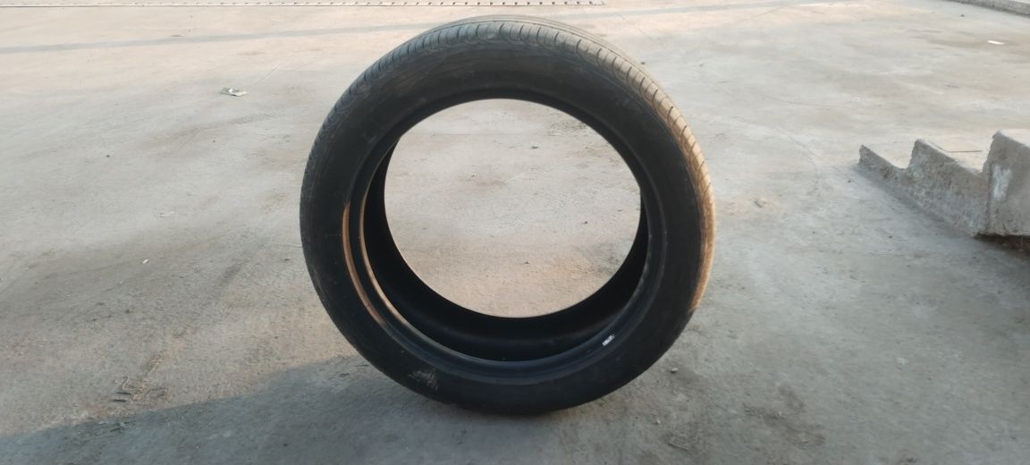 4ta R19 balon arzonga sotiladi