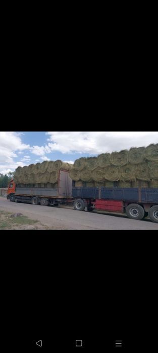 Сено люцерна жоношка урлон сатамын урлон жоношка сатамын жоношка урлон