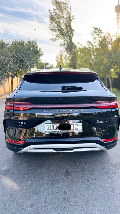 Byd champion 605 full 2023 black