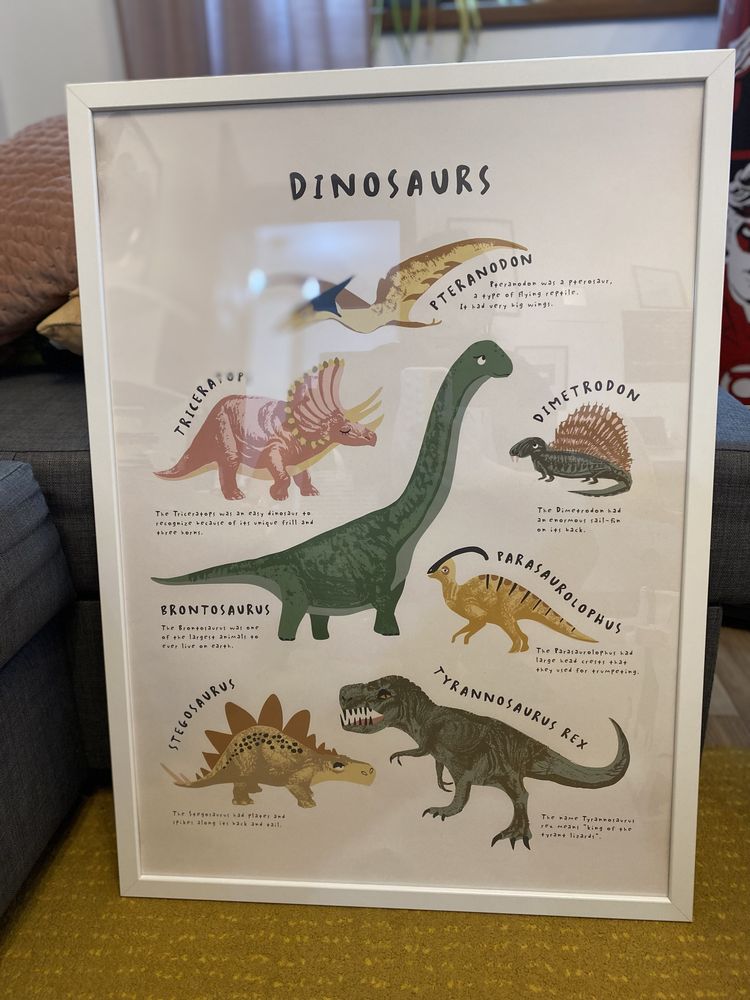 Set camera copii model dinozauri