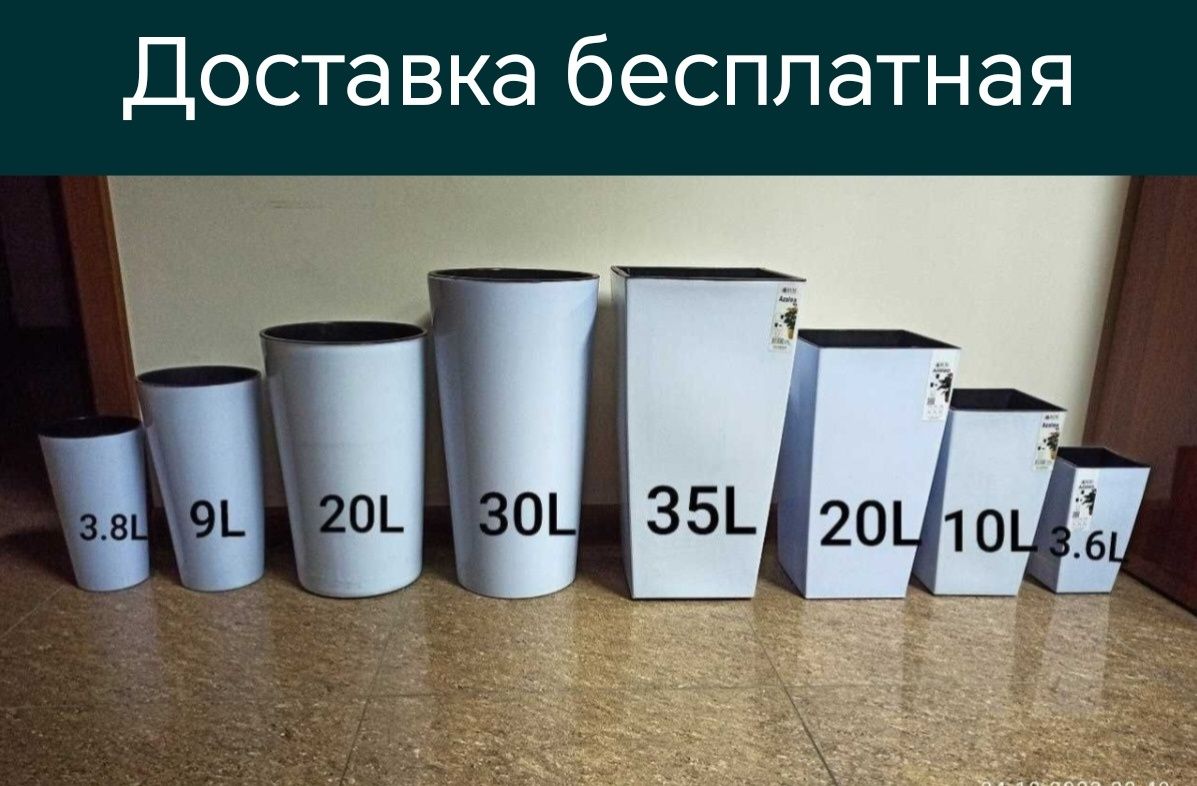 Gul Tuve tuvak garshok azalea Гул тувак горшки цветы гаршок доставка б