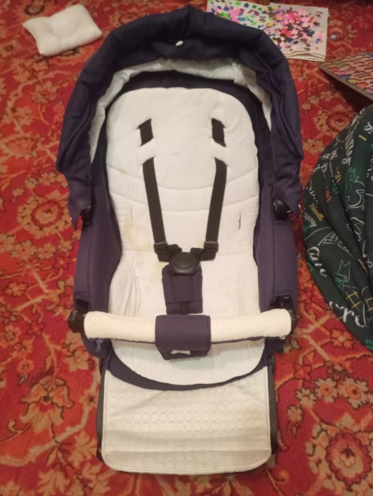 Adamex aspena коляска 3 в 1