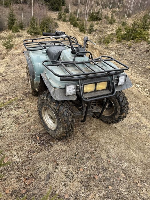 Yamaha Timberwolf 250 cc
