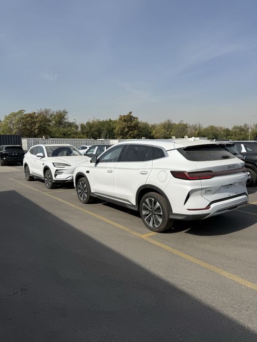 BYD champion Smart Drive song plus 2025-26 model oq va qora ranglarda