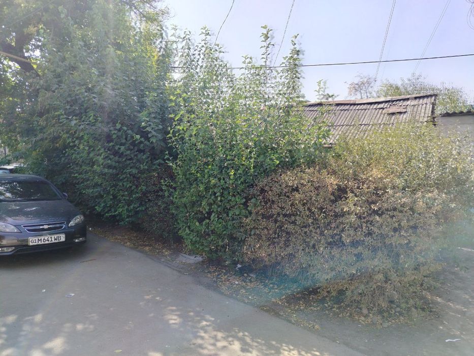 Продается дом в самом центре 3/1/1 дёшево 1,8 соток