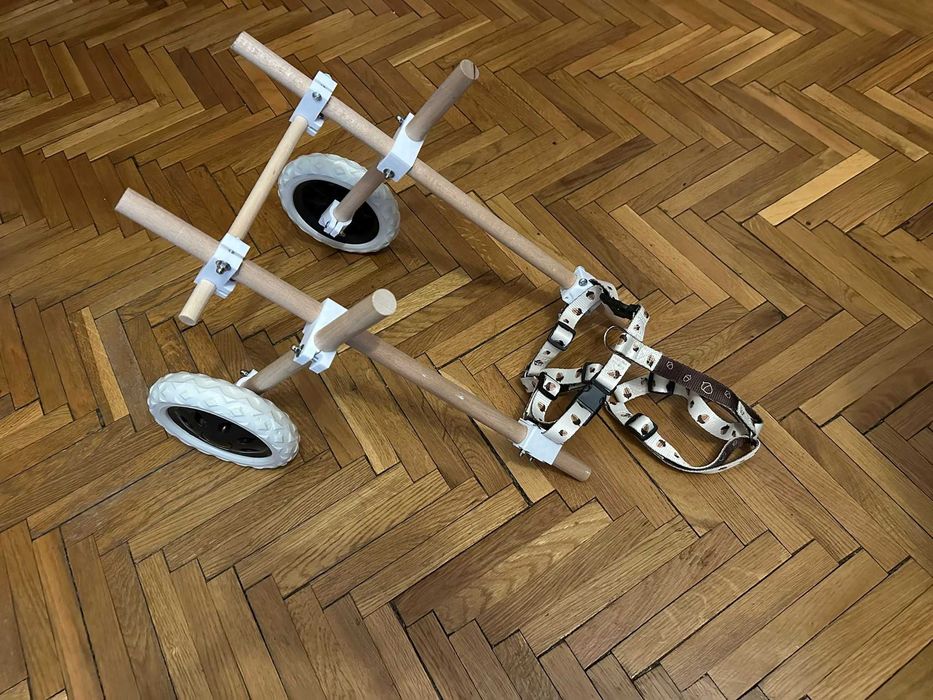 Carucior pentru catei cu dizabilitati