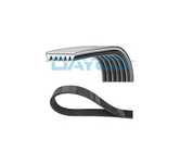 Curea transmisie cu caneluri Peugeot RANCH microbus 5F 1996-2016 02890