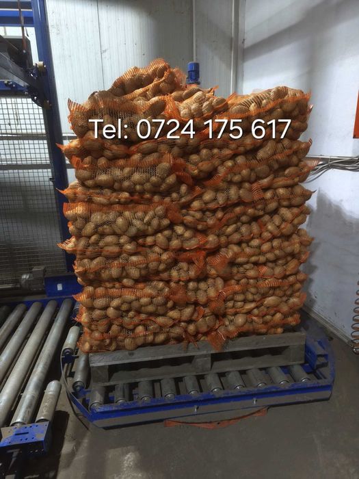 Vând cartofi de consum