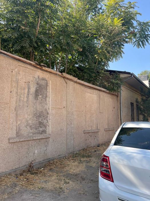 Нукусская участок 4.8 соток