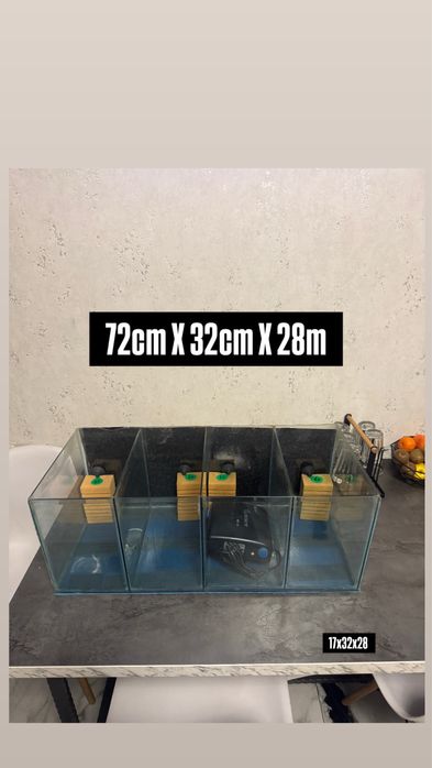 Acvariu compartimentat