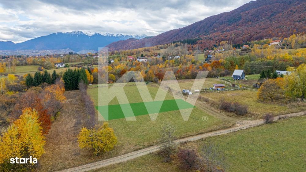 Teren intravilan I Gata de construit I 1100 mp I Tohanita