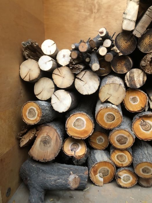 Otin 1 labo 1million som