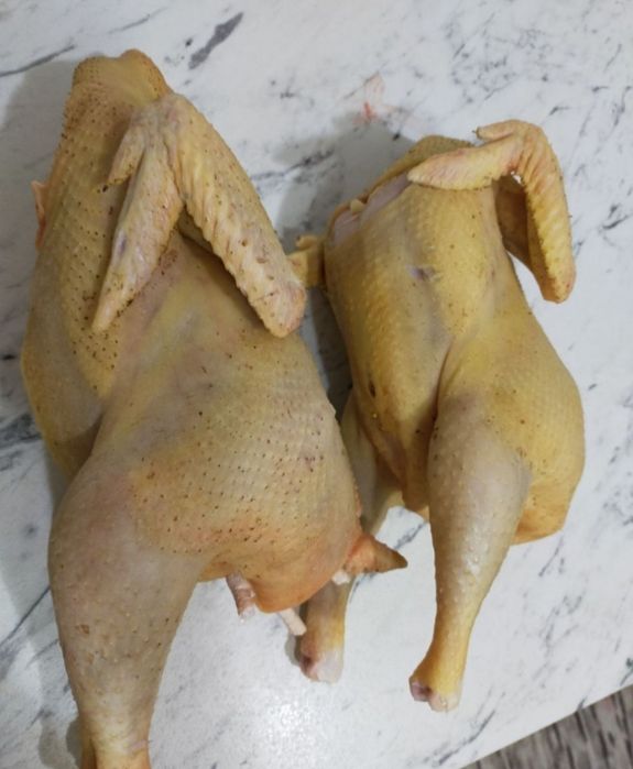 Pasari pui/gaini/cocosi