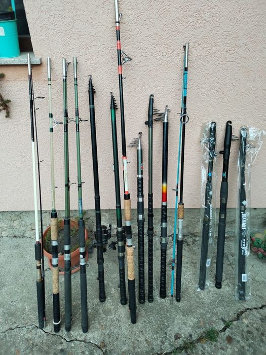 Lansete Germina, Dan