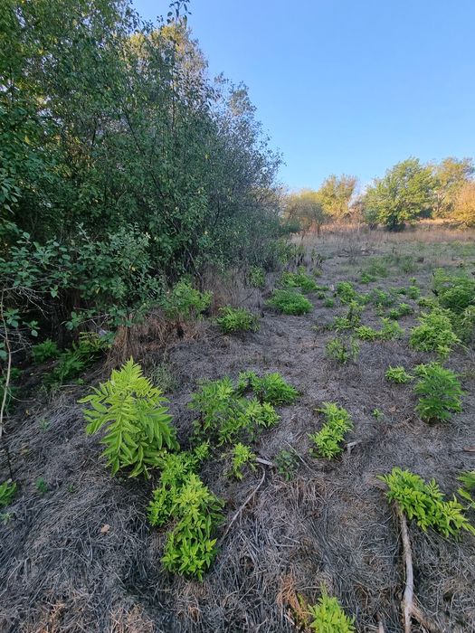 Продавам къща в с.Засмяно 70 000 евро