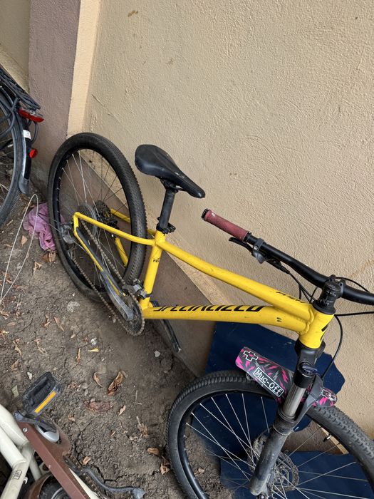 Vand Biciclete Dama mtb Cursiere normale  Germany