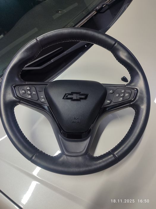 Epicaga monitor va rul bor