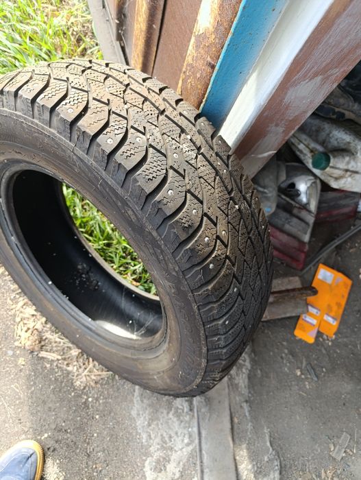 Зимние шины фирмы Viatti