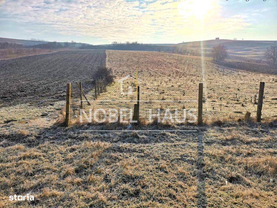 Teren intravilan 1041 mp, Grivita, pentru constructii