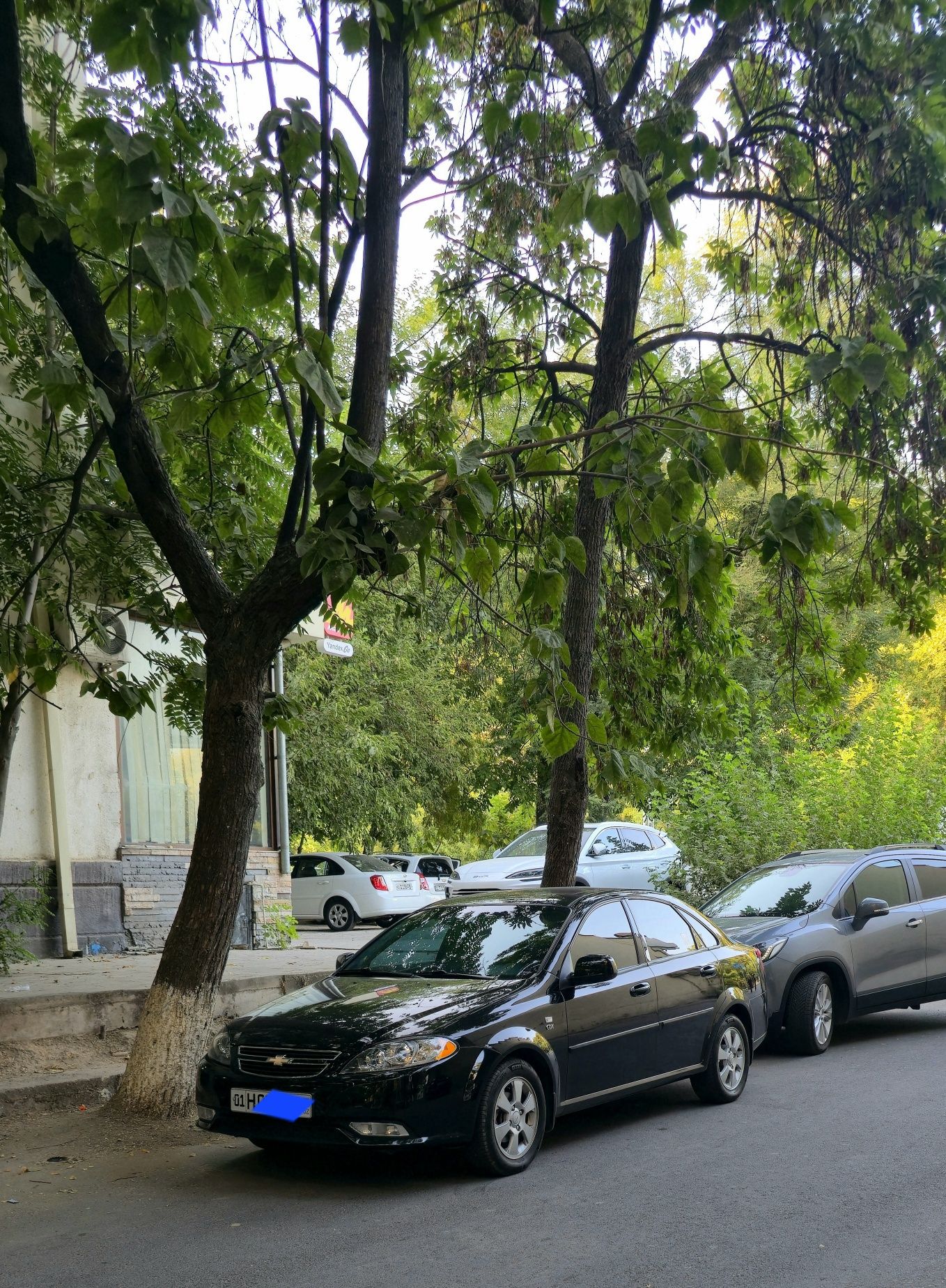 QORA GENTRA sotiladi