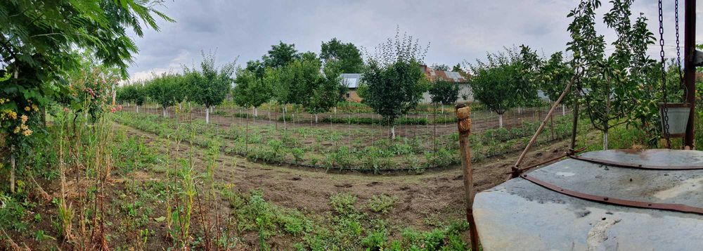 Casa de vanzare Mihailest/Buzau