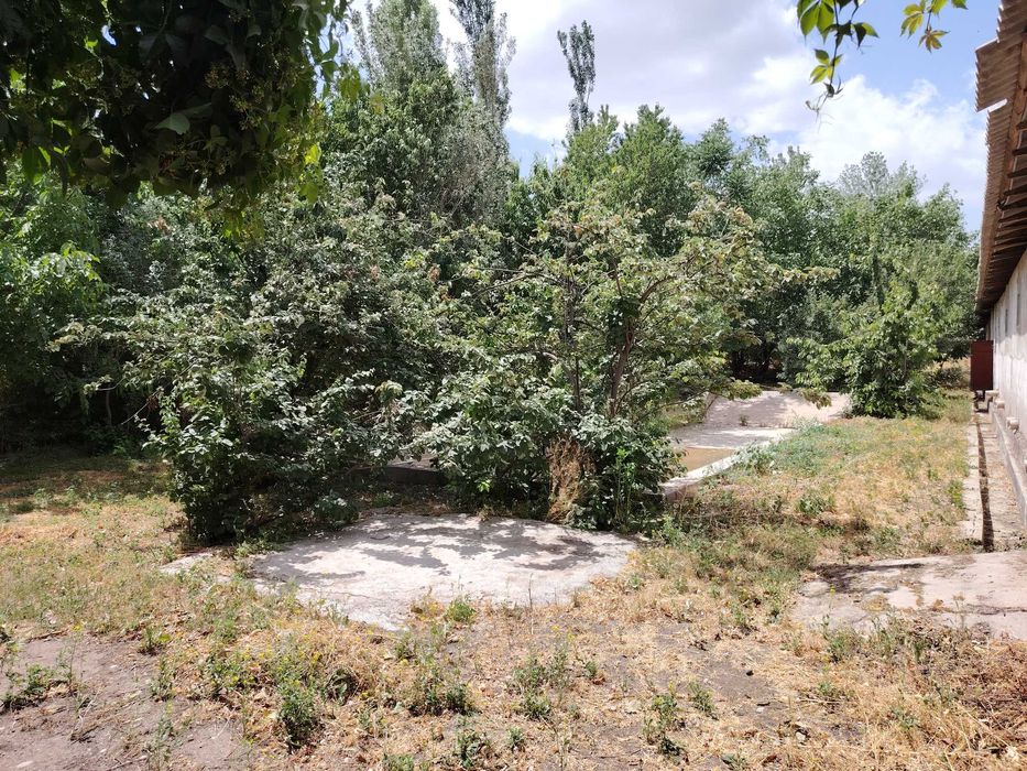 СРОЧНО ФЕРМА, Котедж кургани зур вариант сотилади