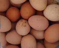 Vând oua de casa 0.80bani buc