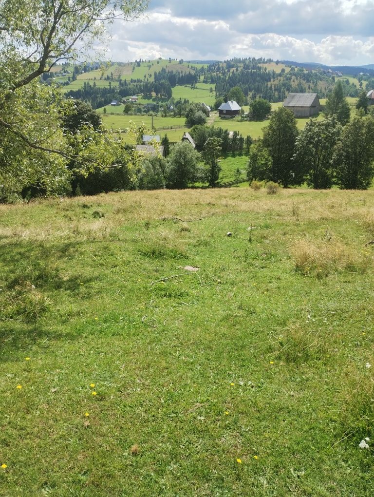 Teren de vânzare Maguri