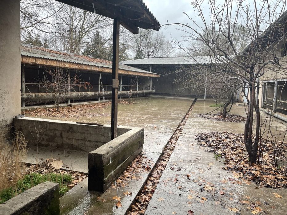 Мол ферма сотилади еки аренда