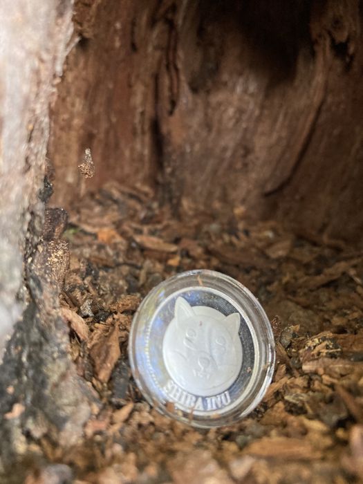 Shiba Inu Silver Coin /Dogecoin/