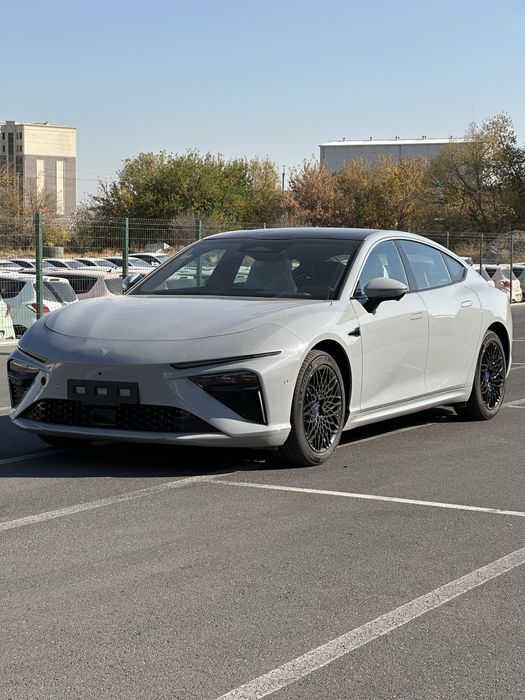 Neta S 2024 Narda grey Electro