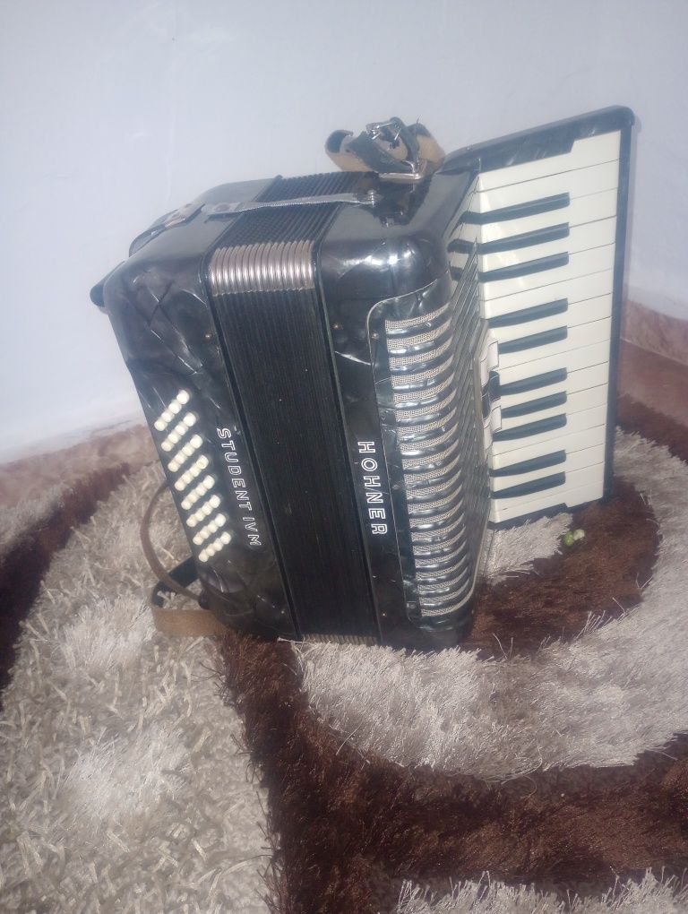 Acordeon hohner studenții