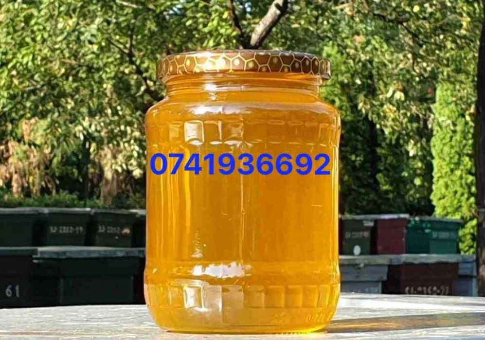 Miere polifloare la 16 lei/kg